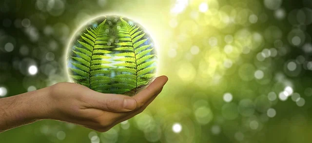 photo planete dans une main